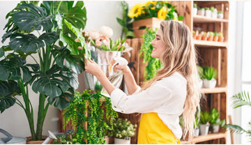 9 Common Fertilizing Mistakes to Avoid for Healthier Houseplants