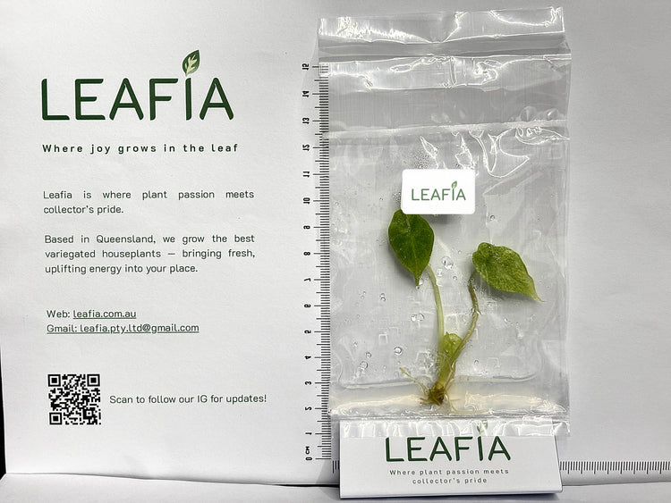 Leafia